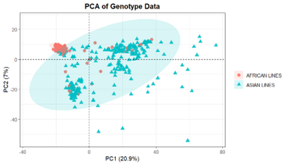 Principal Component Analysis of Genotype Data in African and Asian Germplasm