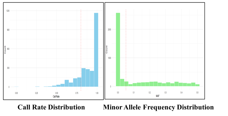 Call Rate Distribution and Minor Allele Frequency Distribution